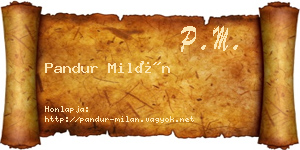 Pandur Milán névjegykártya
