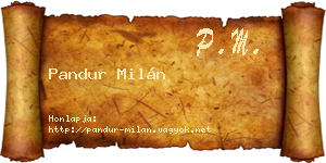 Pandur Milán névjegykártya